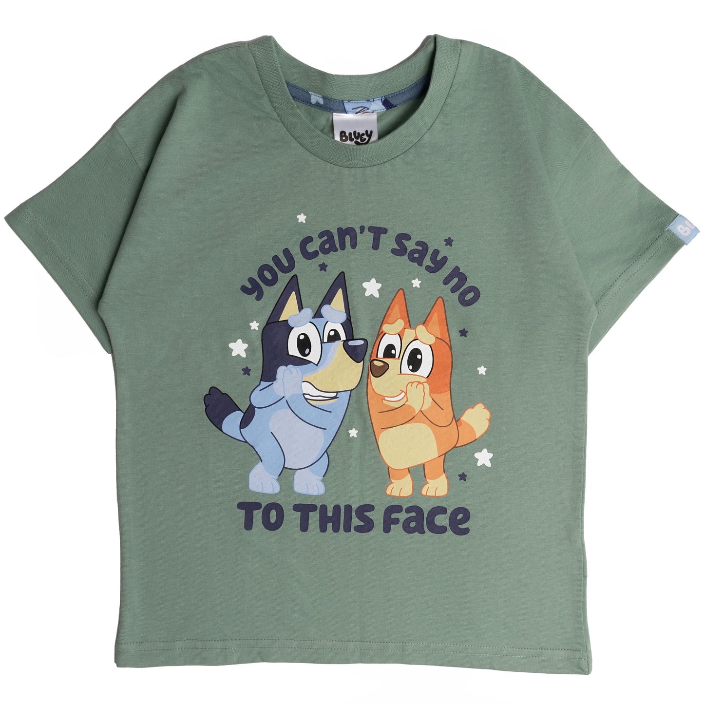 Boys Bluey and Bingo Short Sleeve Top Long Trousers Pyjamas Pjs Nightwear