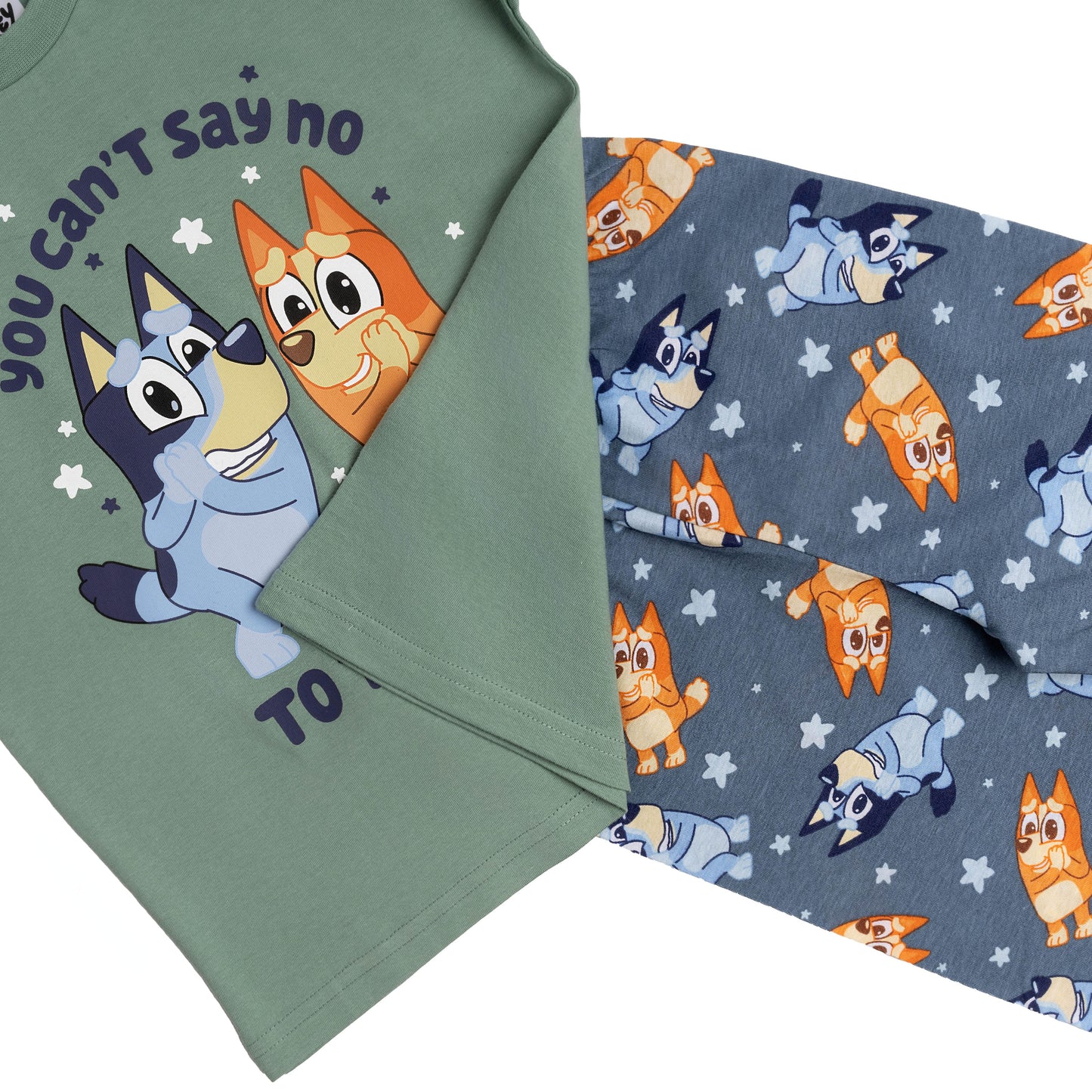 Boys Bluey and Bingo Short Sleeve Top Long Trousers Pyjamas Pjs Nightwear