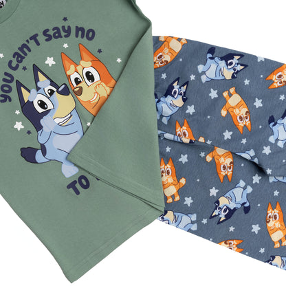 Boys Bluey and Bingo Short Sleeve Top Long Trousers Pyjamas Pjs Nightwear