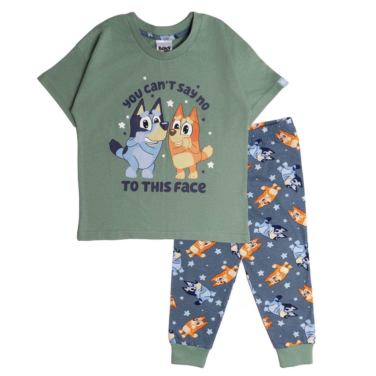 Boys Bluey and Bingo Short Sleeve Top Long Trousers Pyjamas Pjs Nightwear