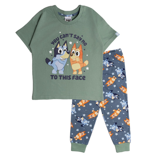 Boys Bluey and Bingo Short Sleeve Top Long Trousers Pyjamas Pjs Nightwear